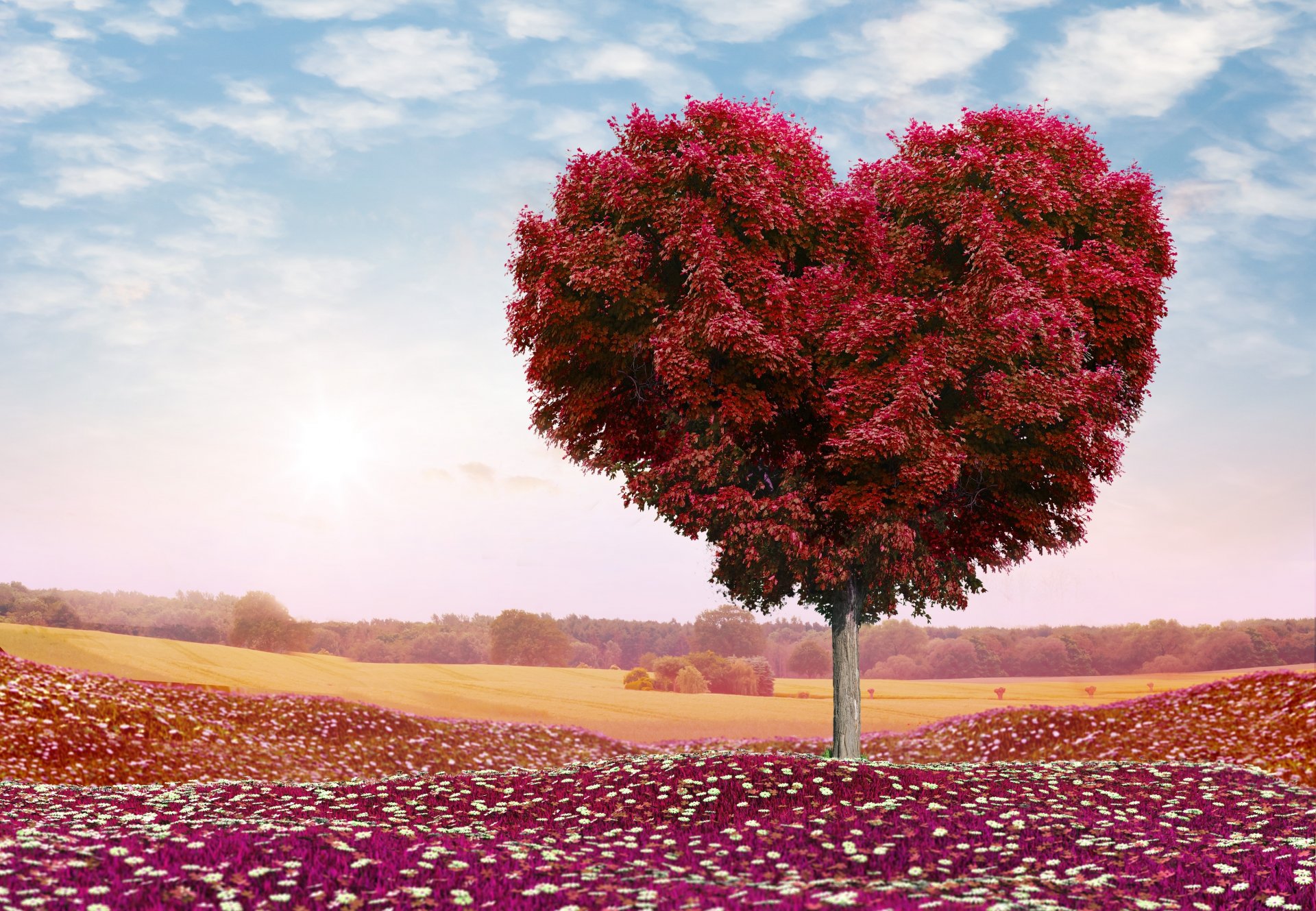 l amour les romans d amour arbre champ fleurs le ciel les nuages les roses la nature le jour de la saint-valentin de la romance le coeur