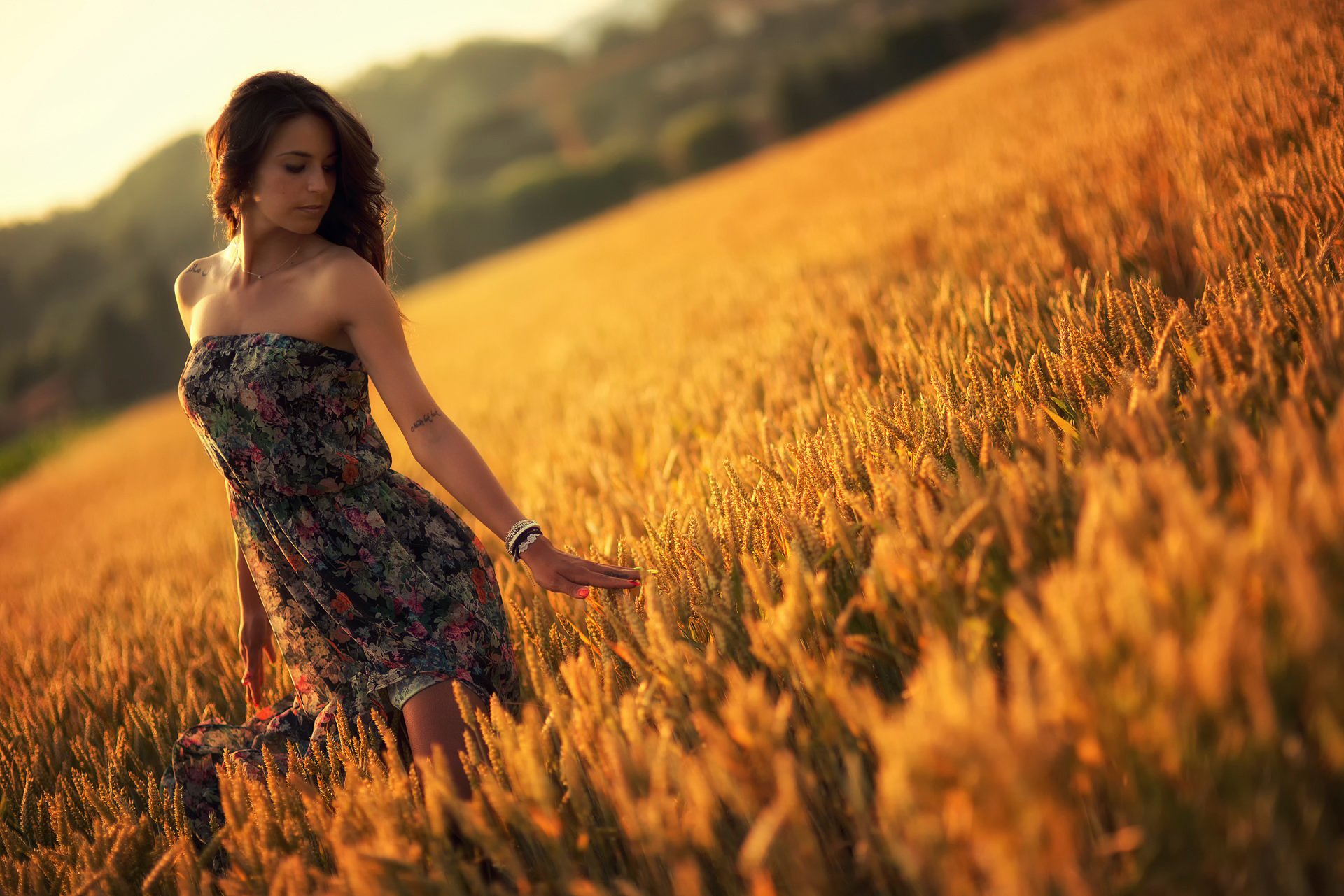 sommer mädchen kleid feld sonnenuntergang