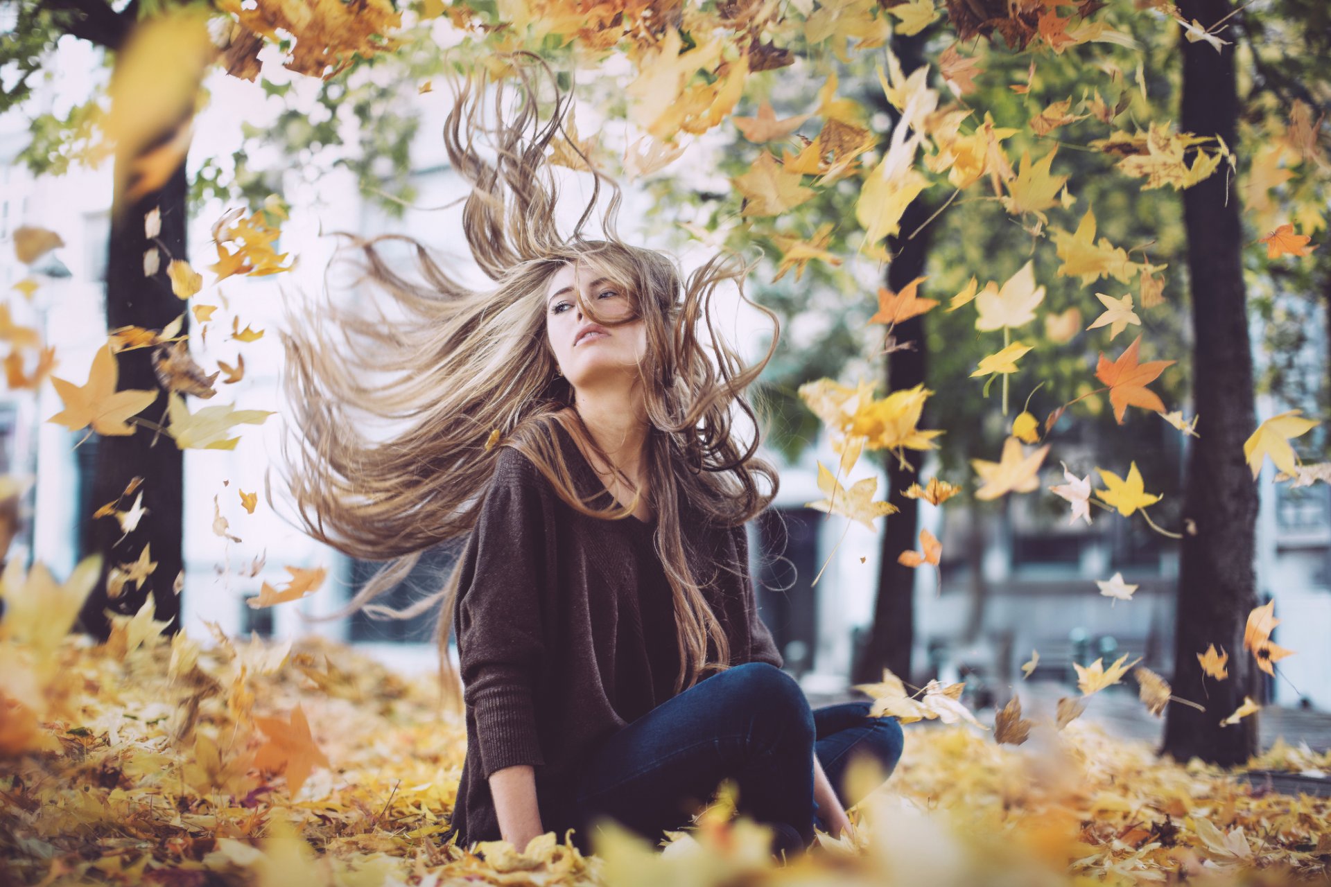 girl autumn foliage wind