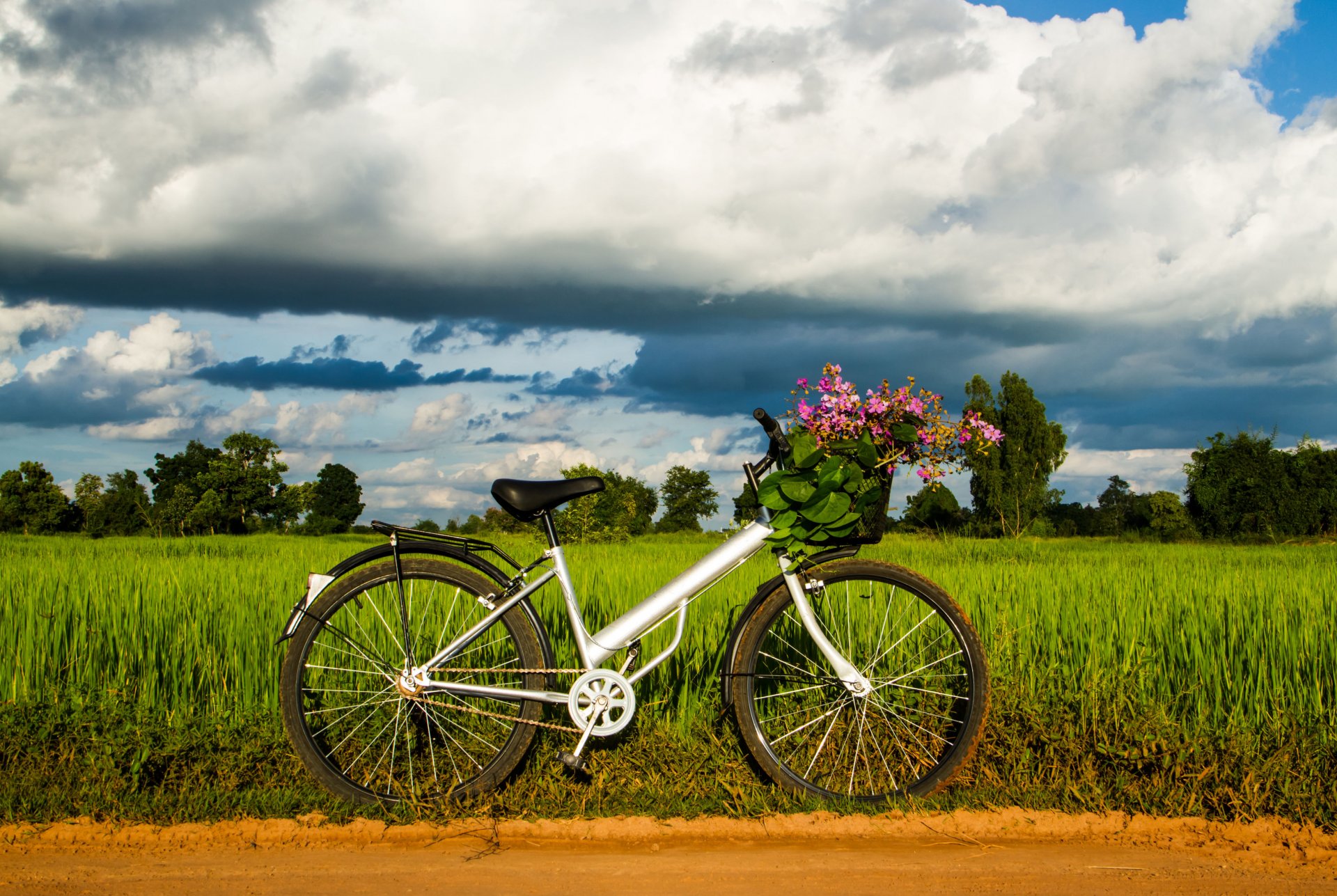 stimmung fahrrad korb blätter blumen rad gras grün bäume himmel hintergrund tapete widescreen vollbild widescreen widescreen