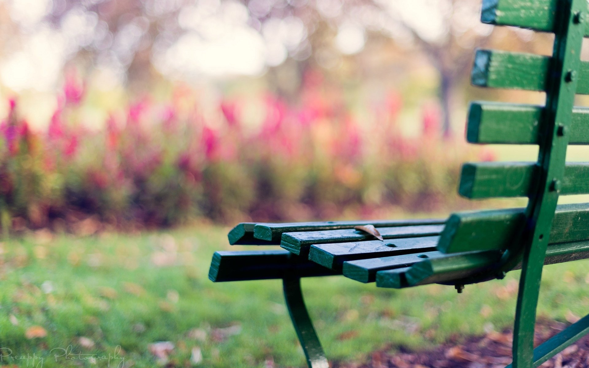 mood bench bench bench leaf leaf grass greenery blur background wallpaper widescreen fullscreen widescreen widescreen