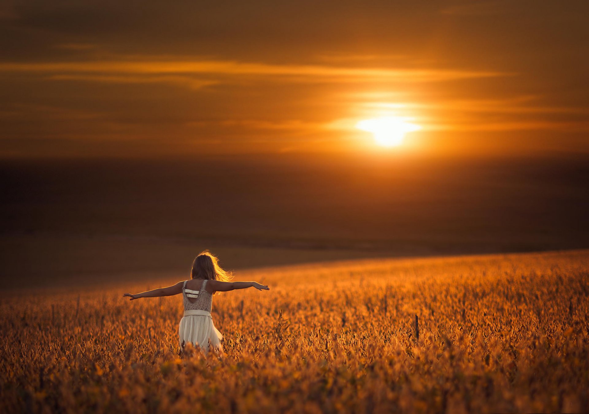 dziewczyna sukienka pole słońce równowaga bokeh