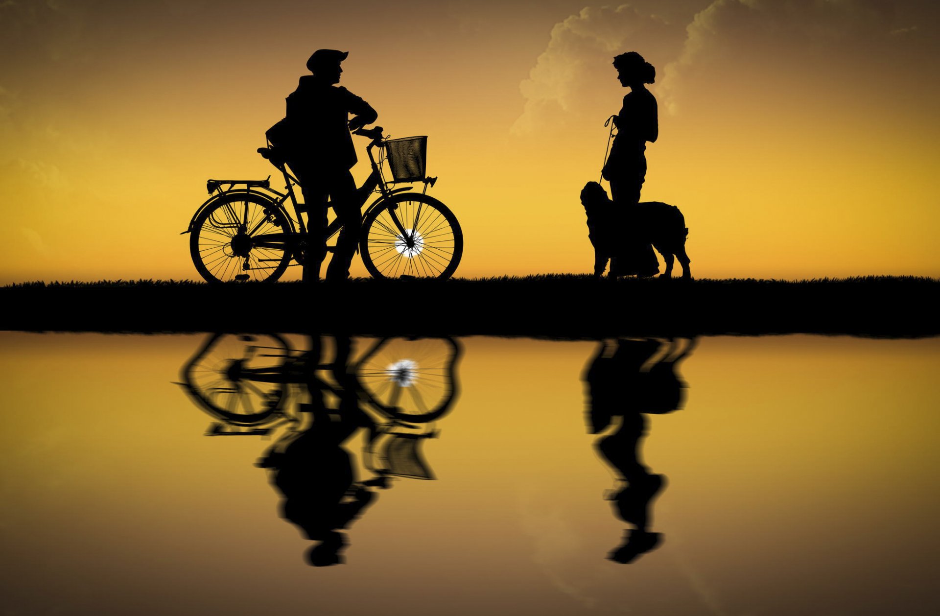 un gars une fille un vélo un chien du soleil des silhouettes