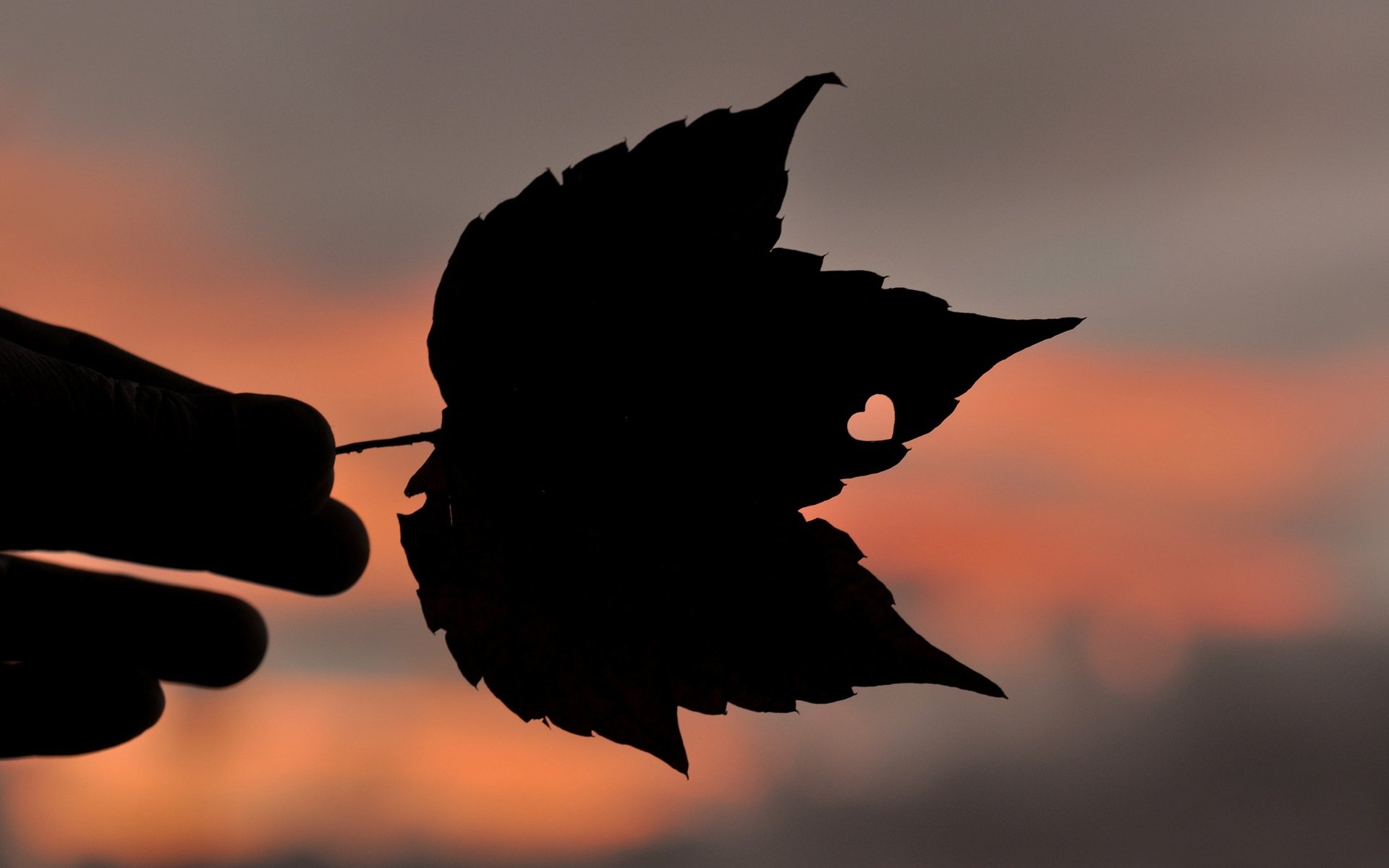 mood leaf leaf leaves heart heart hand silhouette background love blur wallpaper widescreen fullscreen widescreen