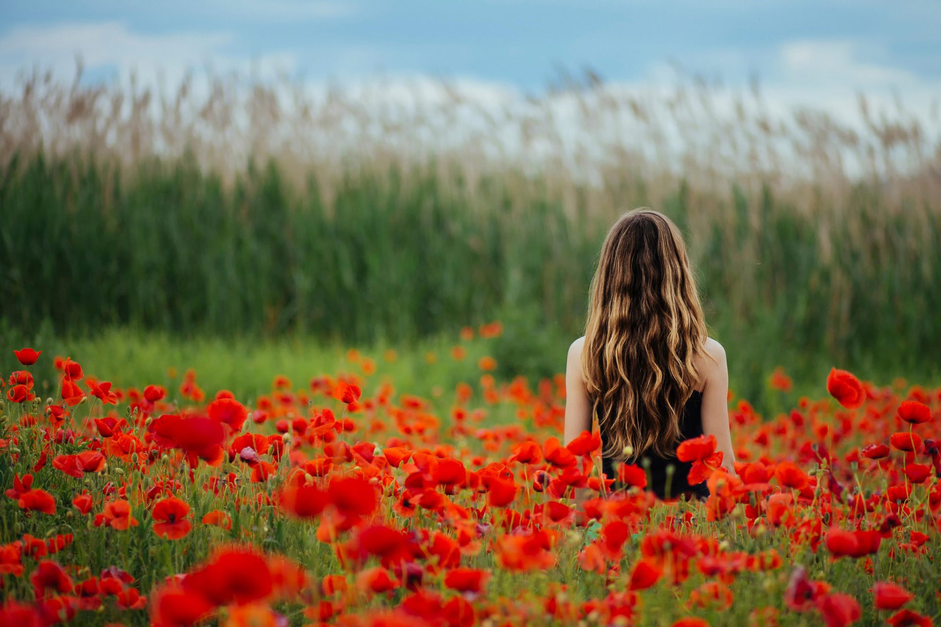 mohnblumen feld blumen mädchen