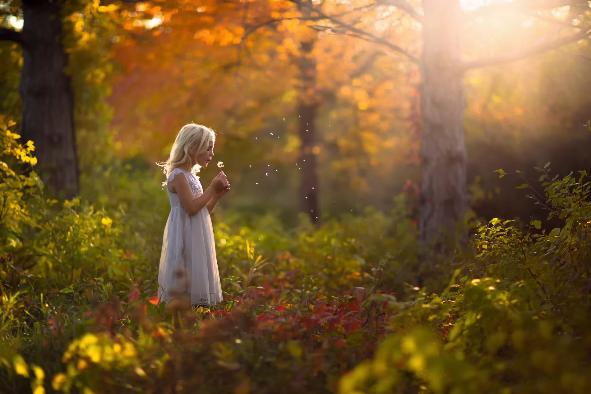 niña bosque otoño vestido diente de león