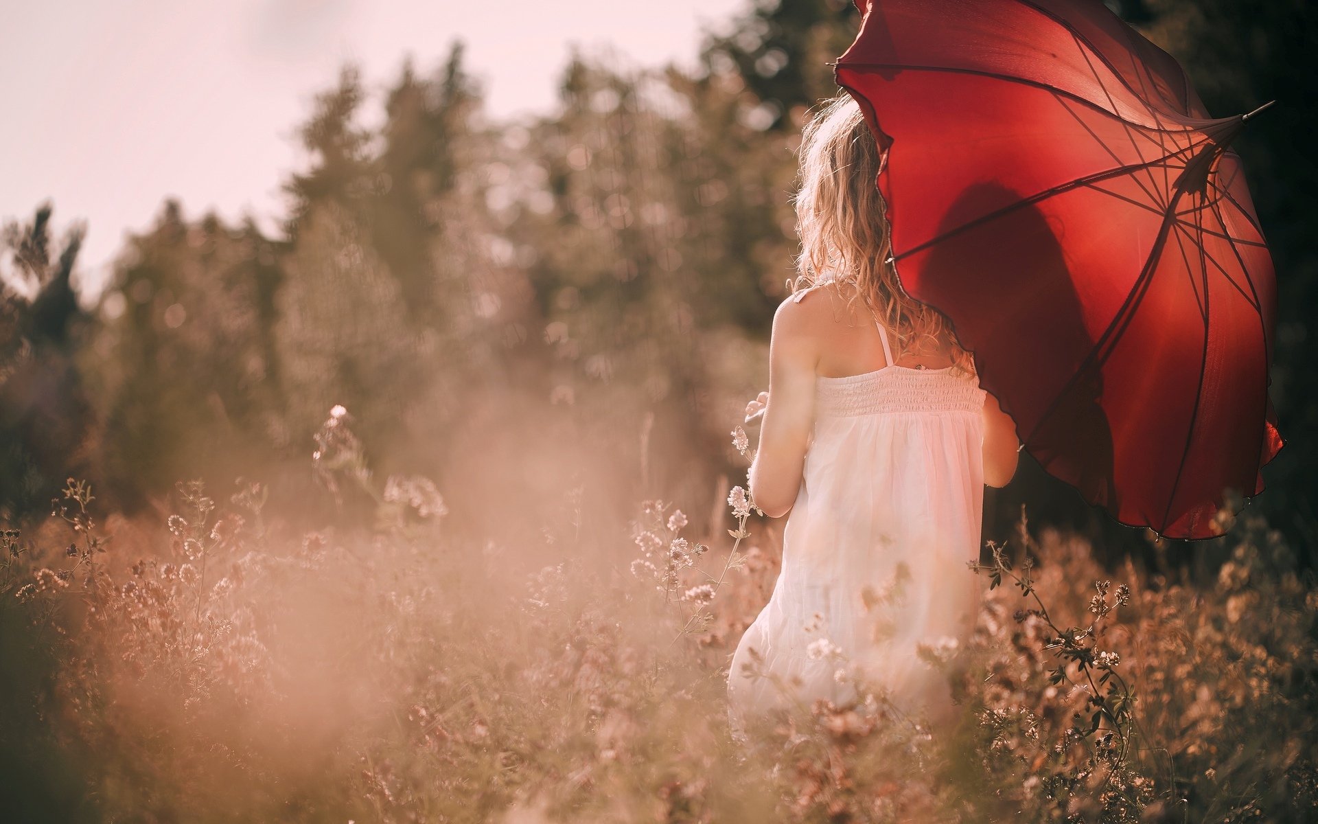 mood girl . zones umbrella red nature plants flower the field sun background wallpaper widescreen full screen hd wallpapers fullscreen