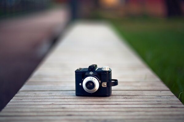 Les sirènes avez oublié votre фотик sur le radeau. La jeune fille dans