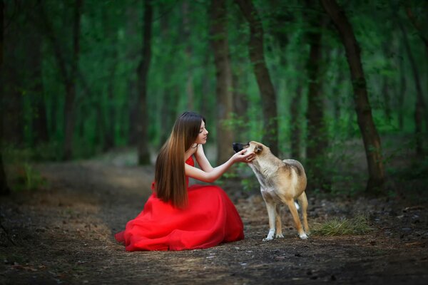 A girl in a red dress, with a dog. The alley in the forest