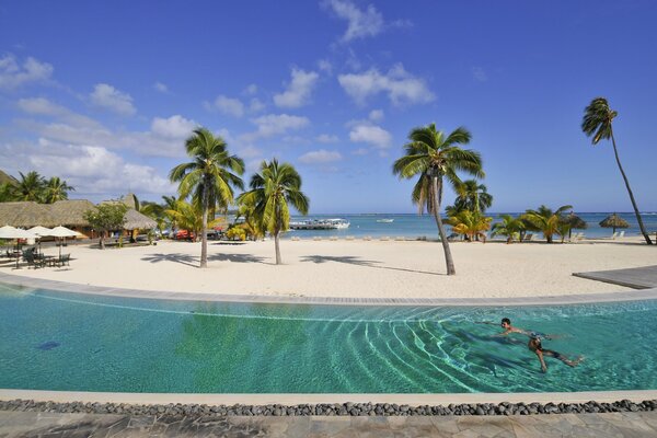 Exotic summer beach with palm trees