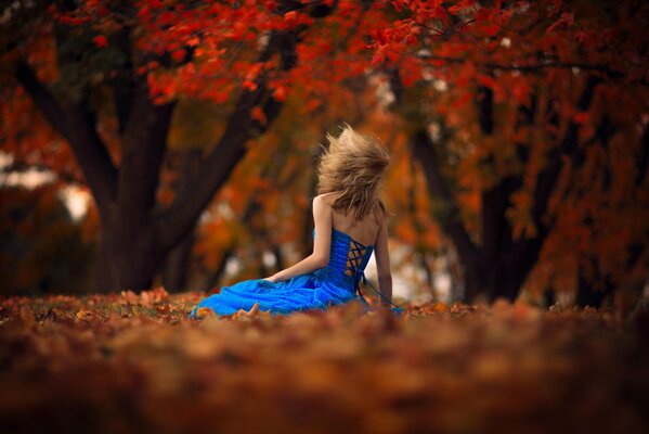 A girl in a dress is sitting in an autumn forest