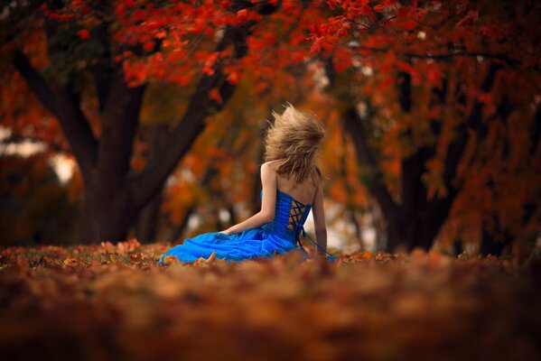 Ragazza in abito si siede nella foresta d autunno