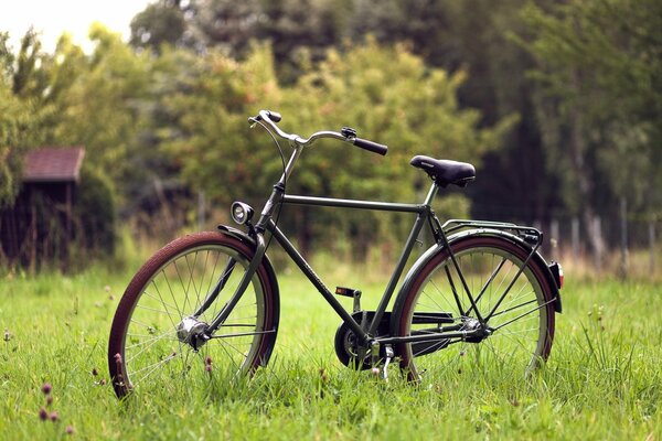 Vintage Fahrrad auf Natur Hintergrund