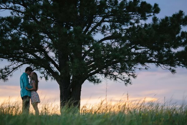 Un couple s embrasse sous un arbre énorme