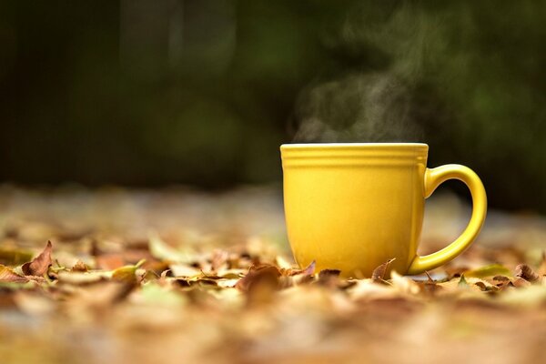 Steaming cup on autumn foliage