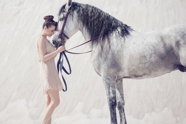 A beautiful girl and a beautiful horse