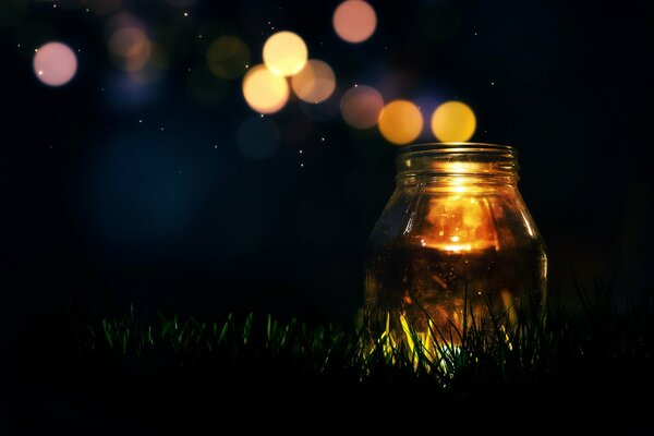 A jar of grass on a dark background