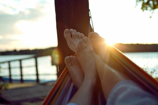 Soirée romantique dans la nature, coucher de soleil