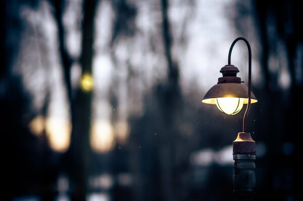 Reflection of snowflakes in the dim light of a lantern