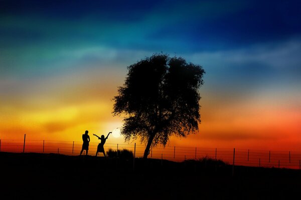 At sunset silhouettes of a couple and a tree