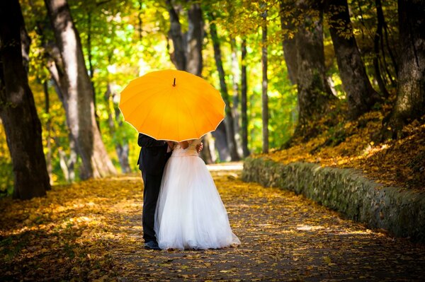 Recién casados con un paraguas amarillo en el callejón