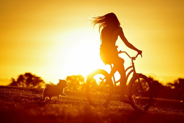 Mädchen mit dem Fahrrad fährt in den Sonnenuntergang