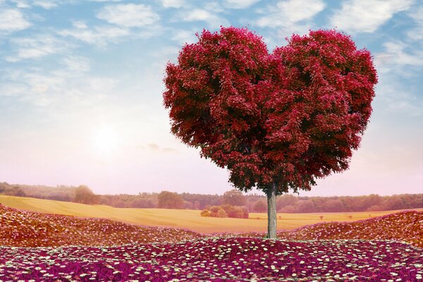 The tree of love on the background of a pink sunset
