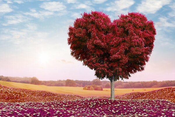 Árbol de amor en el fondo de una puesta de sol rosa