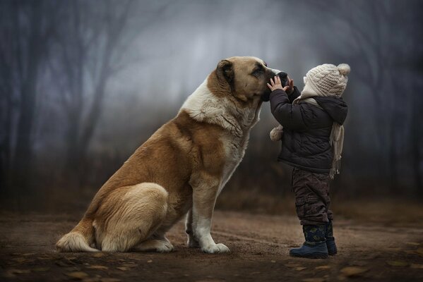 A devoted dog with a small child