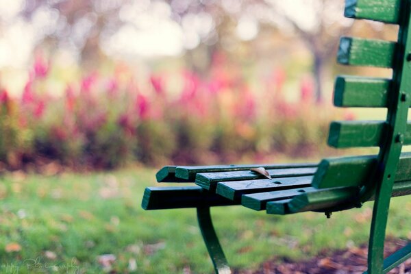 Autumn mood on a park bench