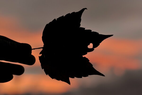 Foglia su cui è raffigurato un cuore sullo sfondo del tramonto