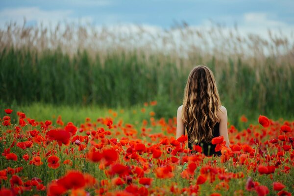 A girl on the background of a red poppy field in flowers