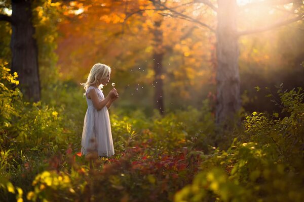 Una niña con un vestido en el bosque de otoño sostiene un diente de León en su mano