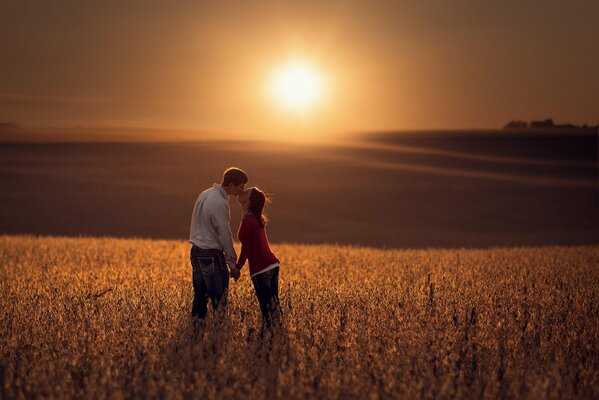 Bella coppia in un campo al tramonto