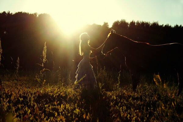 Mädchen mit Pferd vor dem Hintergrund des Waldes und der untergehenden Sonne