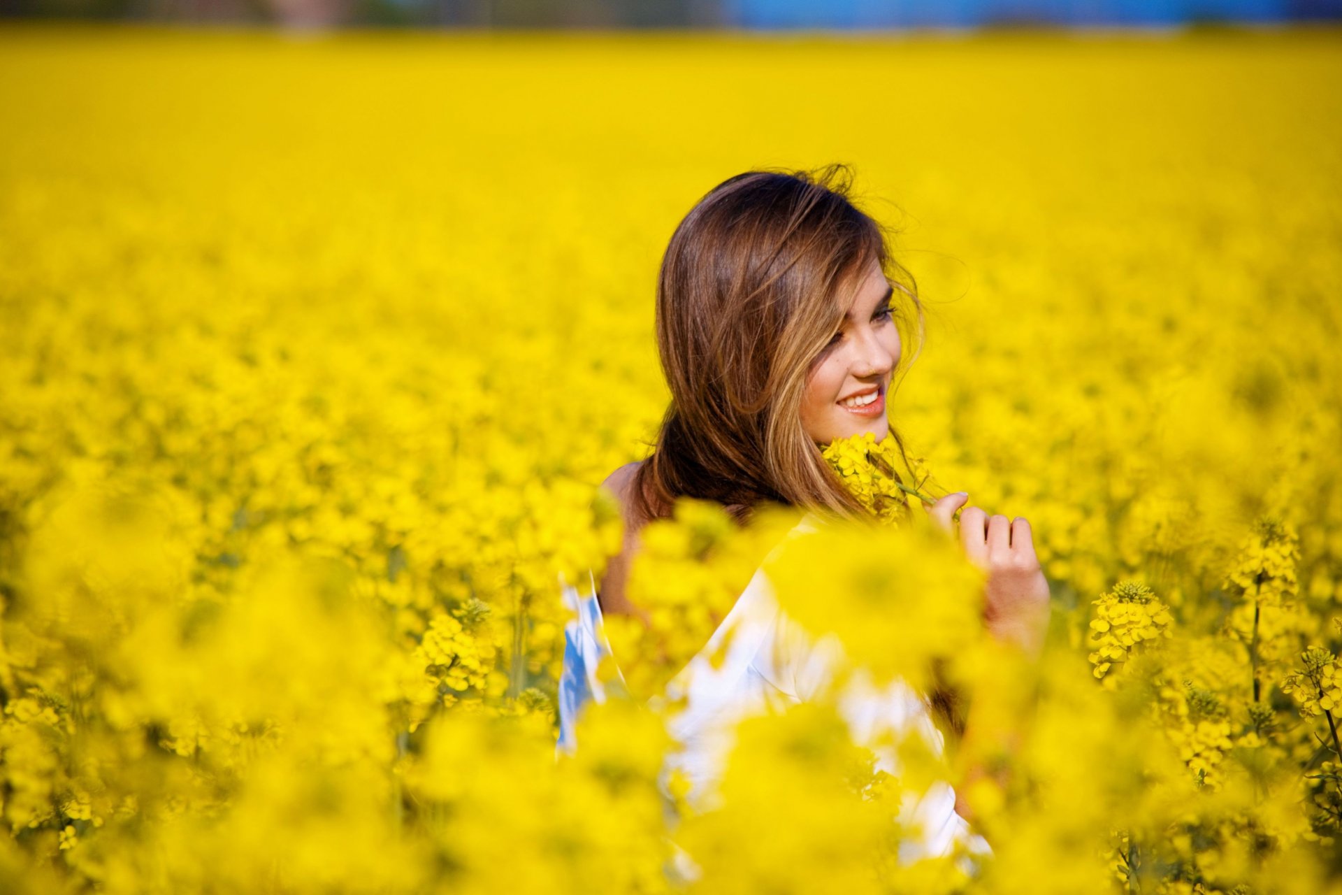 stimmung mädchen lächeln feld blumen blumen gelb hintergrund widescreen vollbild widescreen tapete