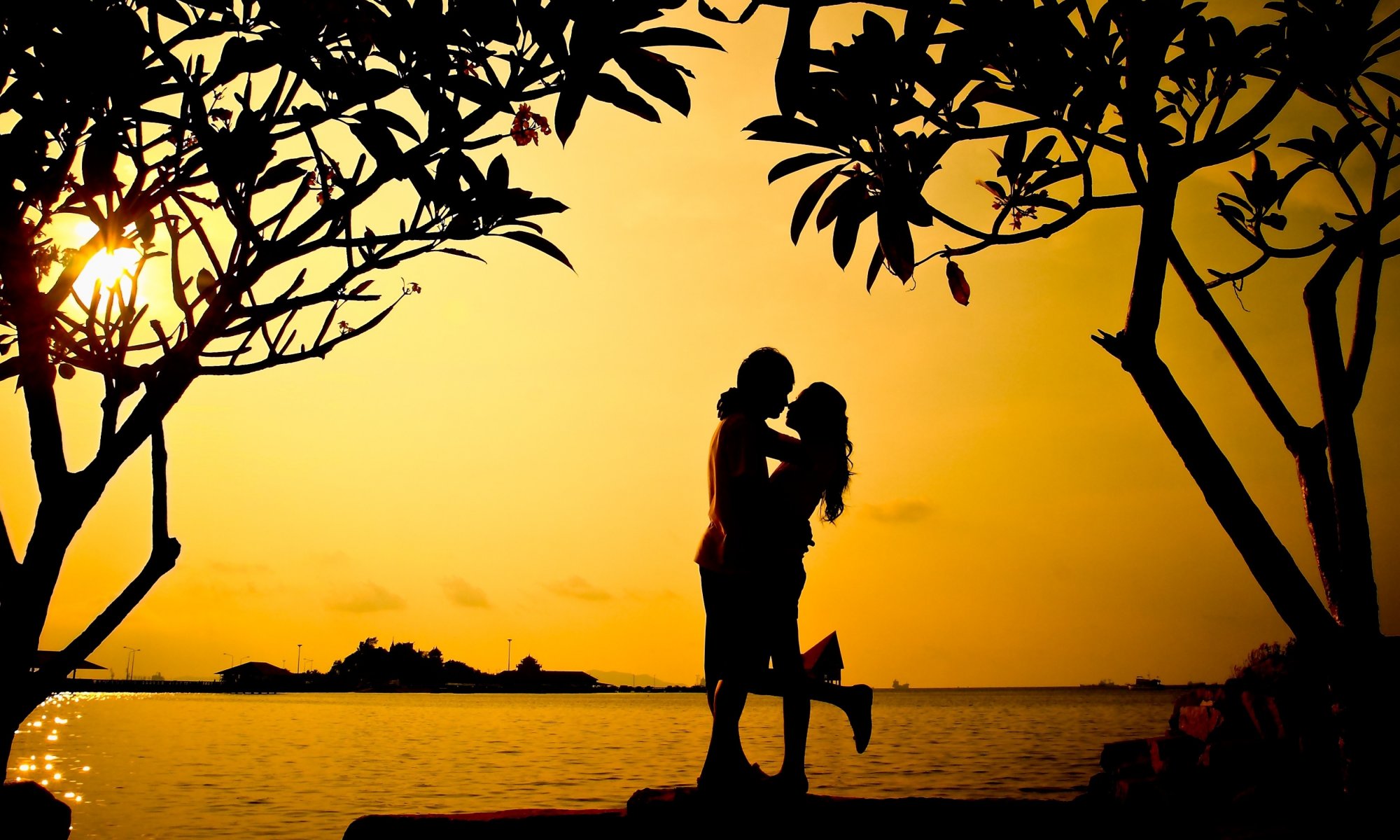 stimmungen mädchen kerl verliebt mann frau umarmung bäume baum blätter silhouette sonnenuntergang natur meer liebe hintergrund tapete widescreen vollbild widescreen