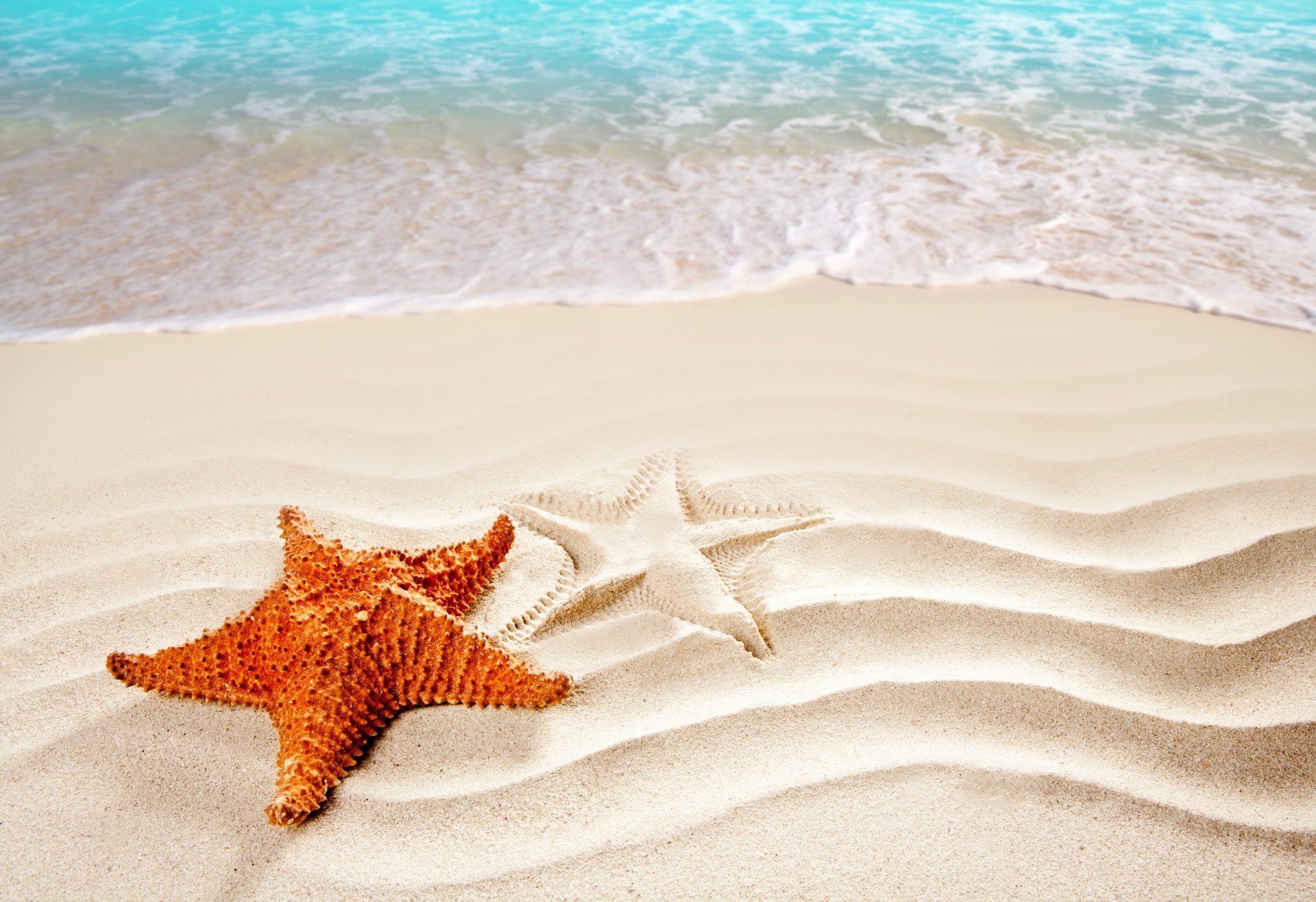 and beach sea waves starfish silhouette