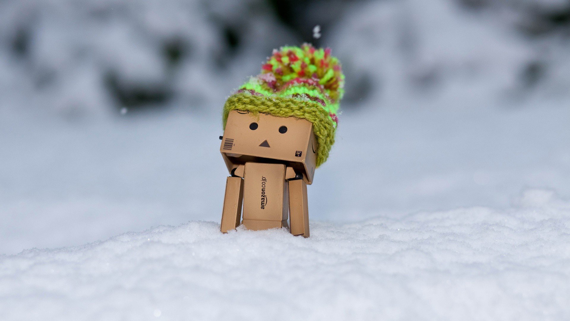 danbo amazon pudełko pudełkowy człowiek zima śnieg czapka czapka mróz