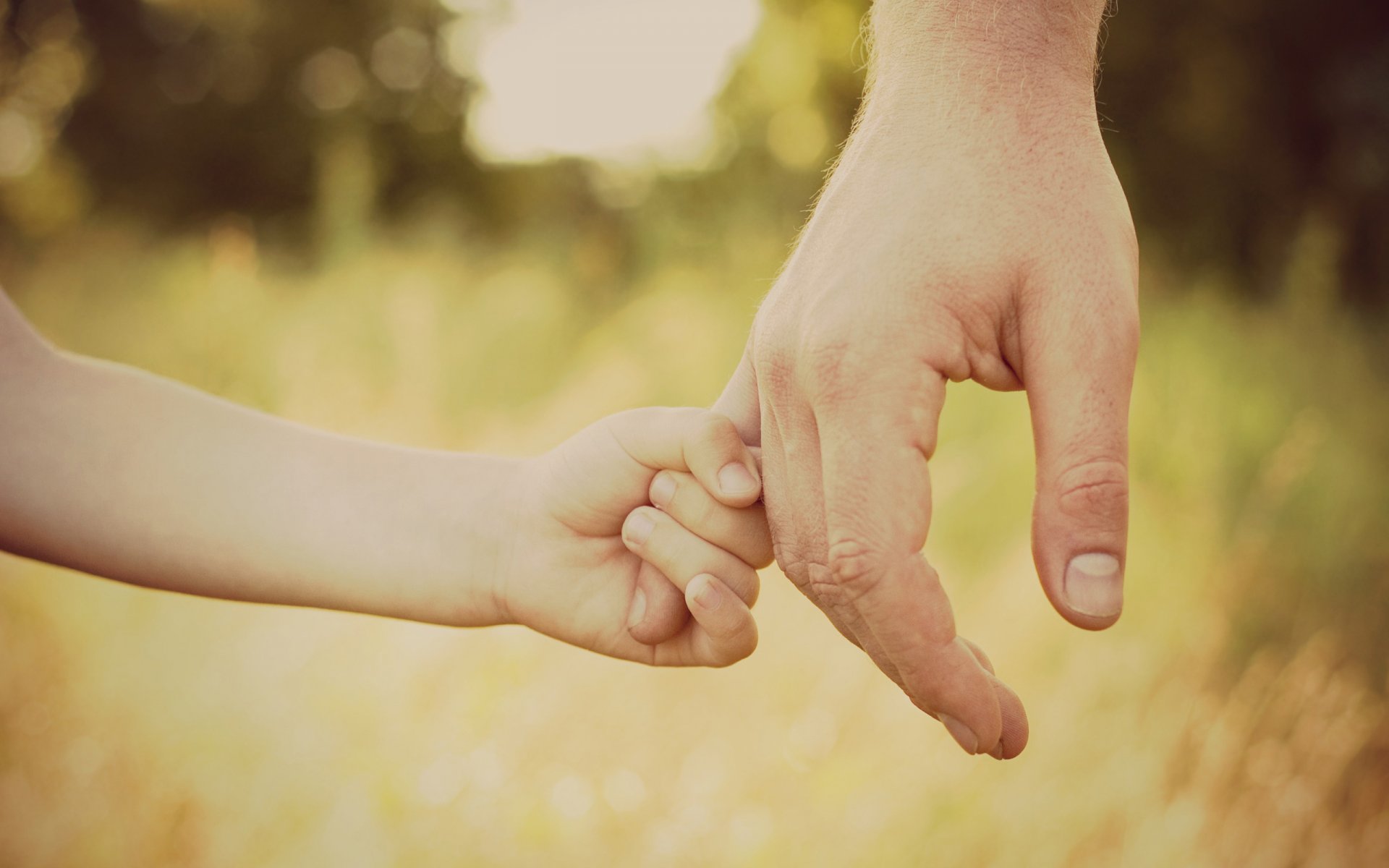 hand hände vater sohn kinder tochter kleinkinder liebe sorge schutz hilflosigkeit vertrauen gehen gras fokus bokeh wald finger finger vaterschaft glück freude jugend stift kinder jungen mädchen gelassenheit ruhe tapete widescreen-wallpaper k