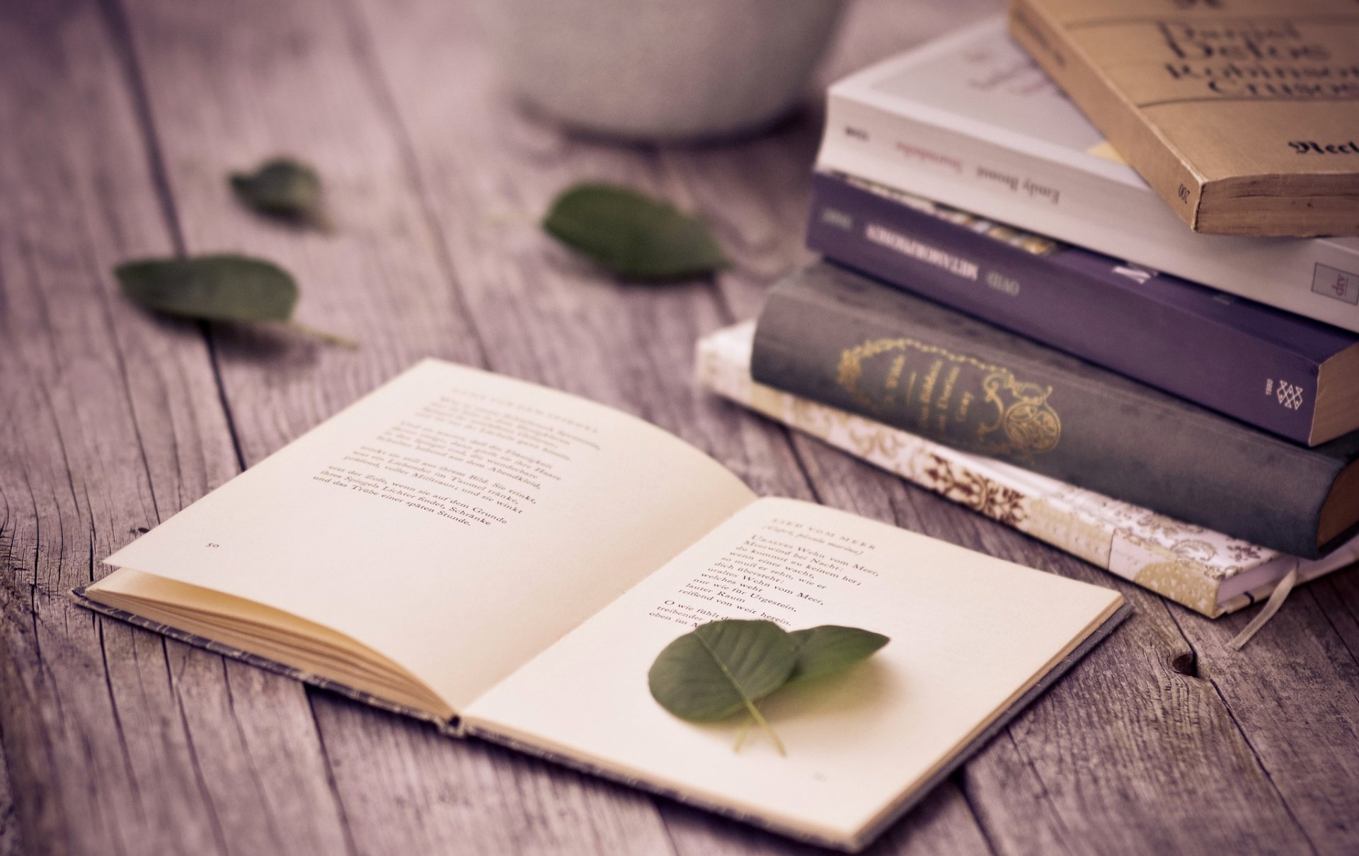 books pages verses leaves table