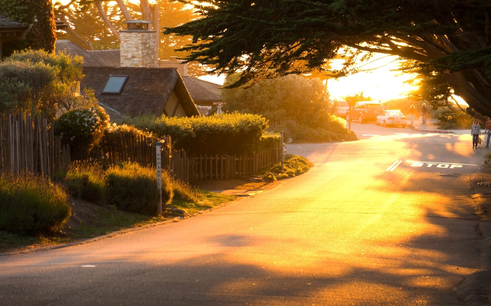 moods nature tree trees plant foliage greenery vegetation street city road house house cars car car shadow sun morning day background people wallpaper widescreen fullscreen widescreen widescreen fu