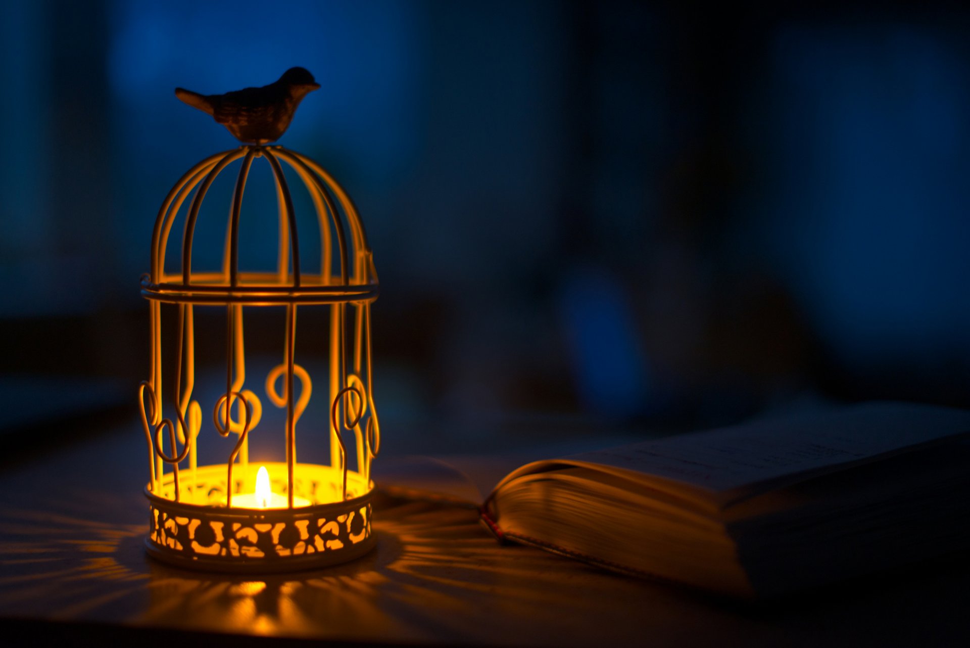 lanterne lampe de poche oiseau bougie ombre lumière livre