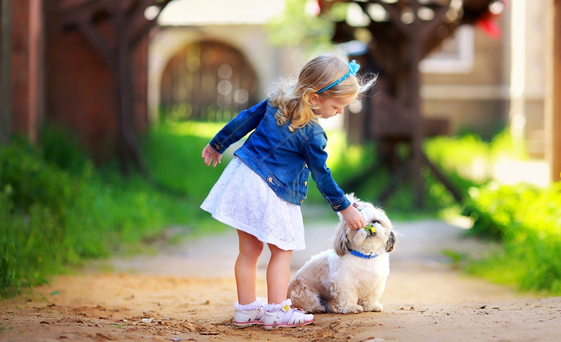 mood bambini ragazza lunetta decorazione fiori fiorellino cane cagnolino cane collare natura erba verde albero alberi foglie fogliame volantini bokeh sfocatura sfondo carta da parati widescreen schermo intero widescreen ampio