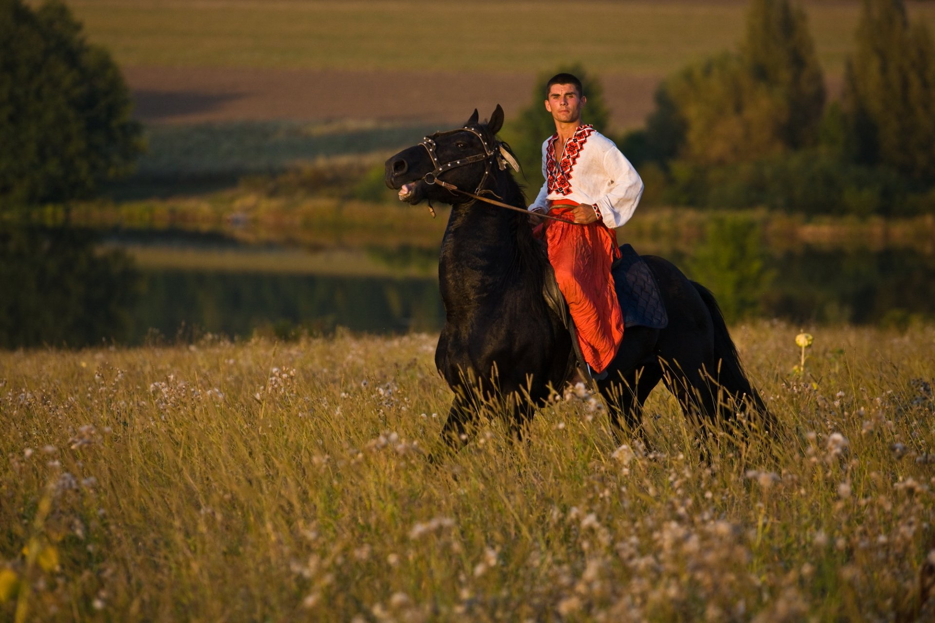 ucrania ucrania hombre caballo campo