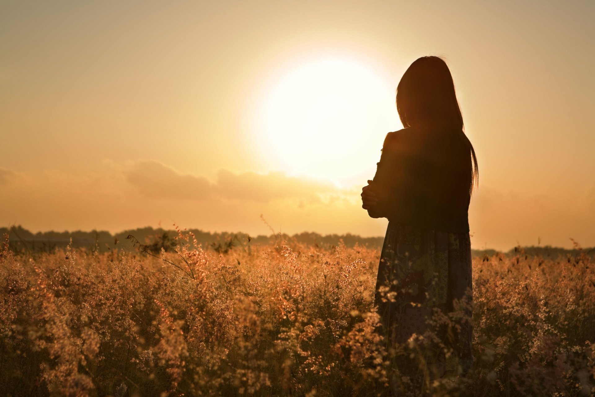 stimmung mädchen frau haar silhouette einsamkeit gedanken reflexion ruhe feld blumen blumen blume sonnenuntergang sonne abend hintergrund tapete widescreen vollbild widescreen widescreen