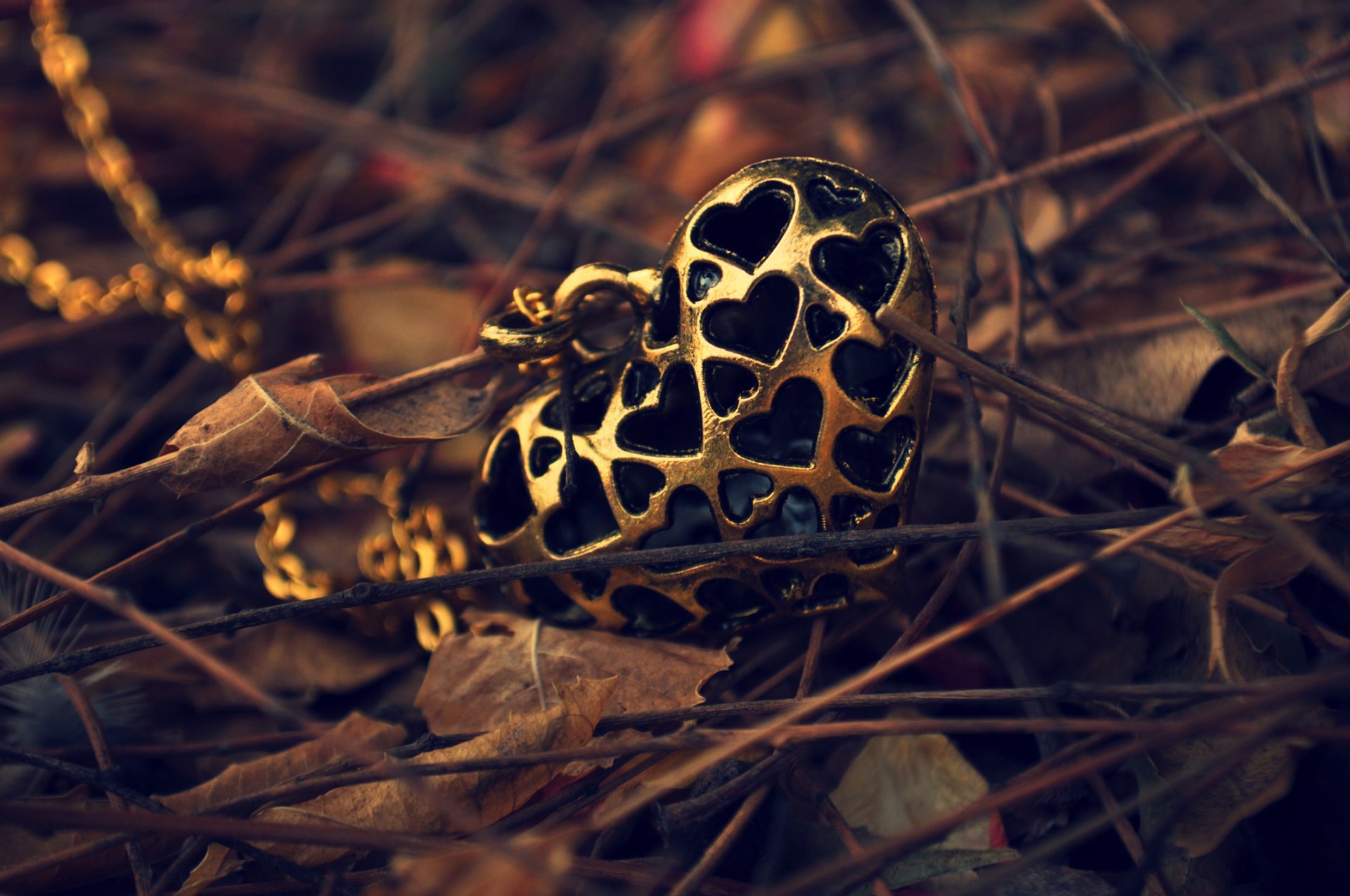 pendant heart heart pendant chain leaves autumn