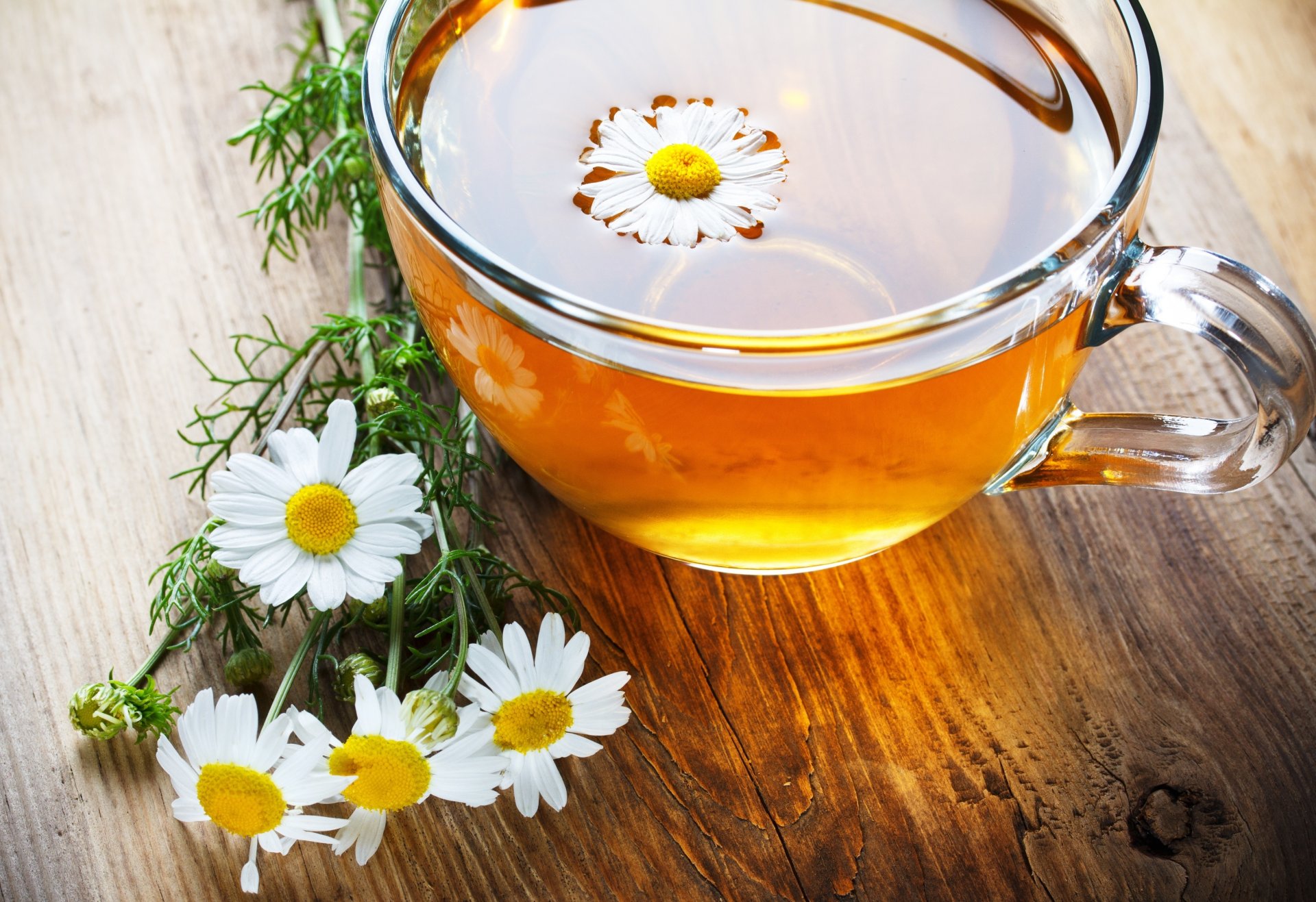 mood tazza tazza tè camomilla fiori sfondo carta da parati widescreen schermo intero widescreen