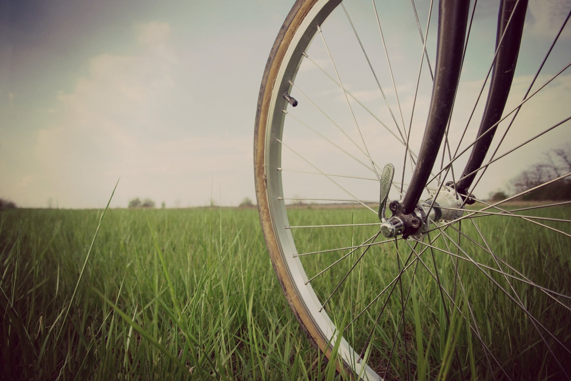 humeur vélo roue herbe verdure nature fond écran large plein écran écran large fond d écran