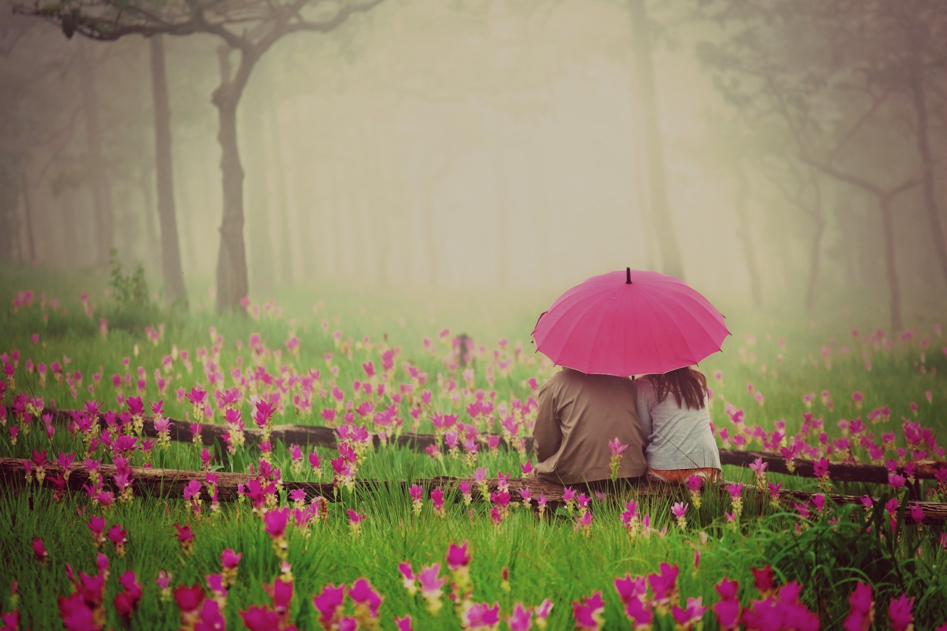 estado de ánimo chica novio mujer hombre pareja pareja paraguas paraguas amantes sentimientos amor romance calidez rosa naturaleza verde hierba vegetación flores flores fondo de pantalla pantalla ancha pantalla completa pantalla ancha